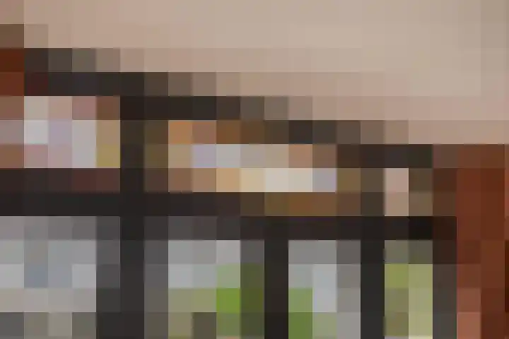 Rozenlaan 123 A Rotterdam thumbnail 14
