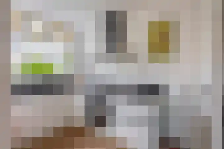 Rozenlaan 123 A Rotterdam thumbnail 16