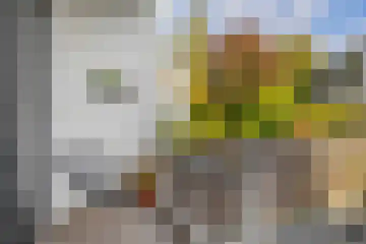 Rozenlaan 123 A Rotterdam thumbnail 21