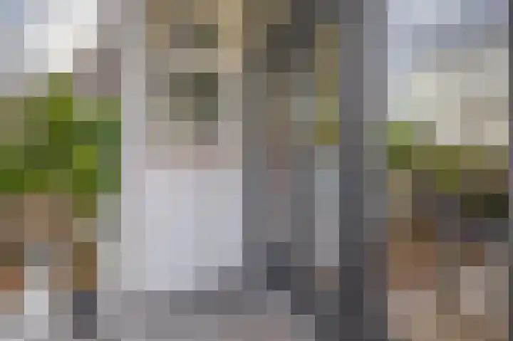 Rozenlaan 123 A Rotterdam thumbnail 22