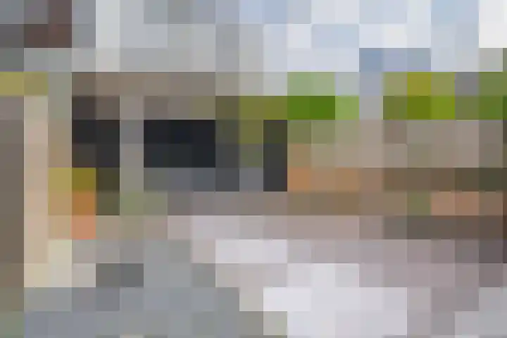Rozenlaan 123 A Rotterdam thumbnail 23