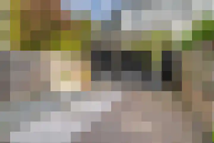 Rozenlaan 123 A Rotterdam thumbnail 24