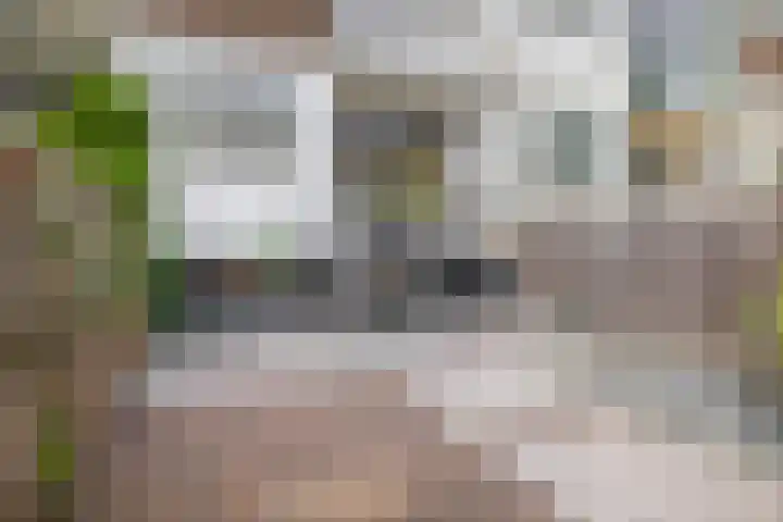Rozenlaan 123 A Rotterdam thumbnail 26