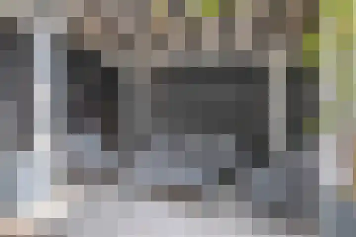 Rozenlaan 123 A Rotterdam thumbnail 27