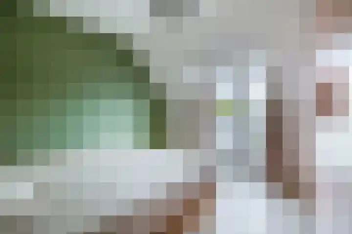 Rozenlaan 123 A Rotterdam thumbnail 29