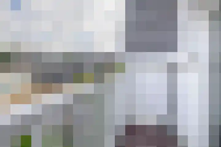 Rozenlaan 123 A Rotterdam thumbnail 31