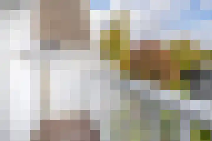 Rozenlaan 123 A Rotterdam thumbnail 32