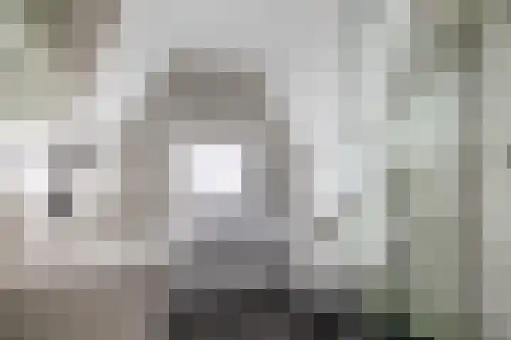 Rozenlaan 123 A Rotterdam thumbnail 33