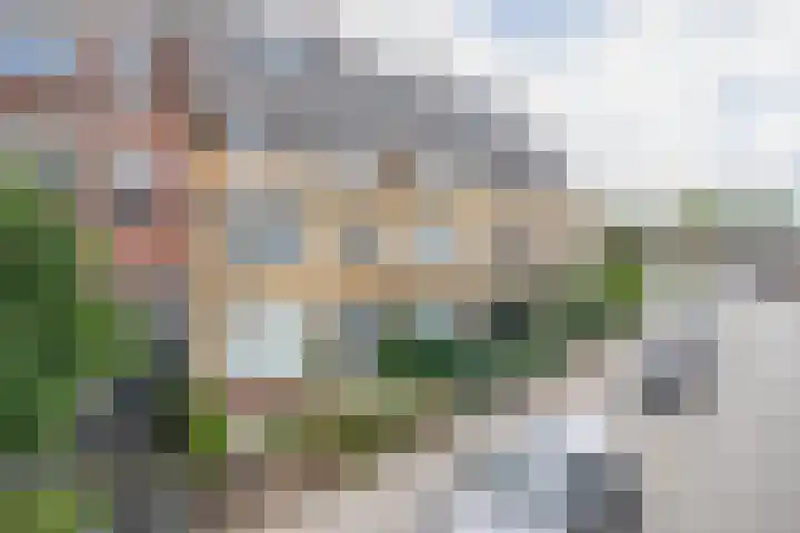 Rozenlaan 123 A Rotterdam thumbnail 36