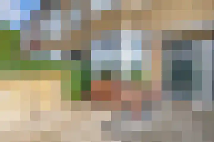 Rozenlaan 123 A Rotterdam thumbnail 5