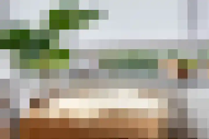Rozenlaan 123 A Rotterdam thumbnail 9