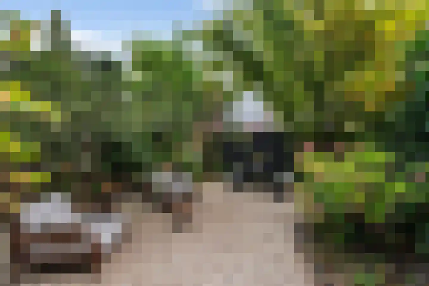Rozenlaan 129 A Rotterdam thumbnail 36