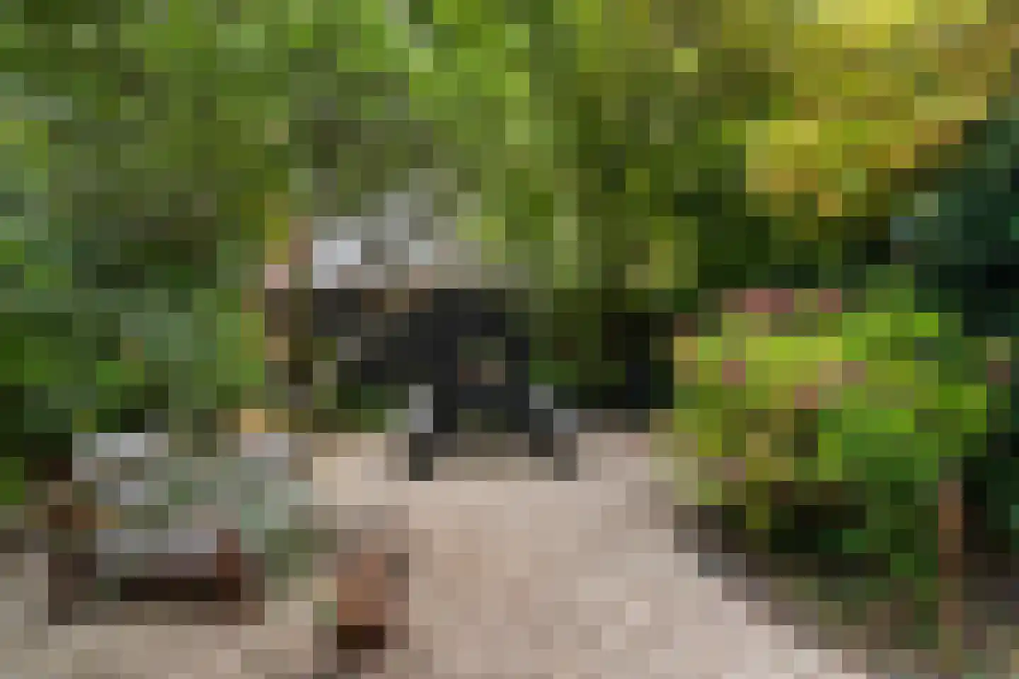 Rozenlaan 129 A Rotterdam thumbnail 37