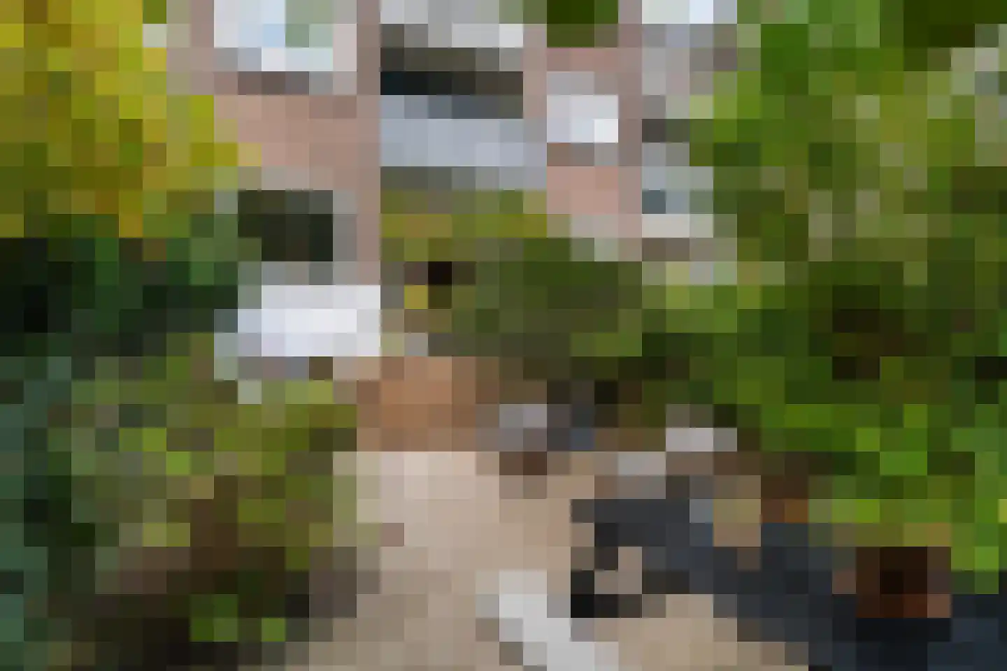 Rozenlaan 129 A Rotterdam thumbnail 39