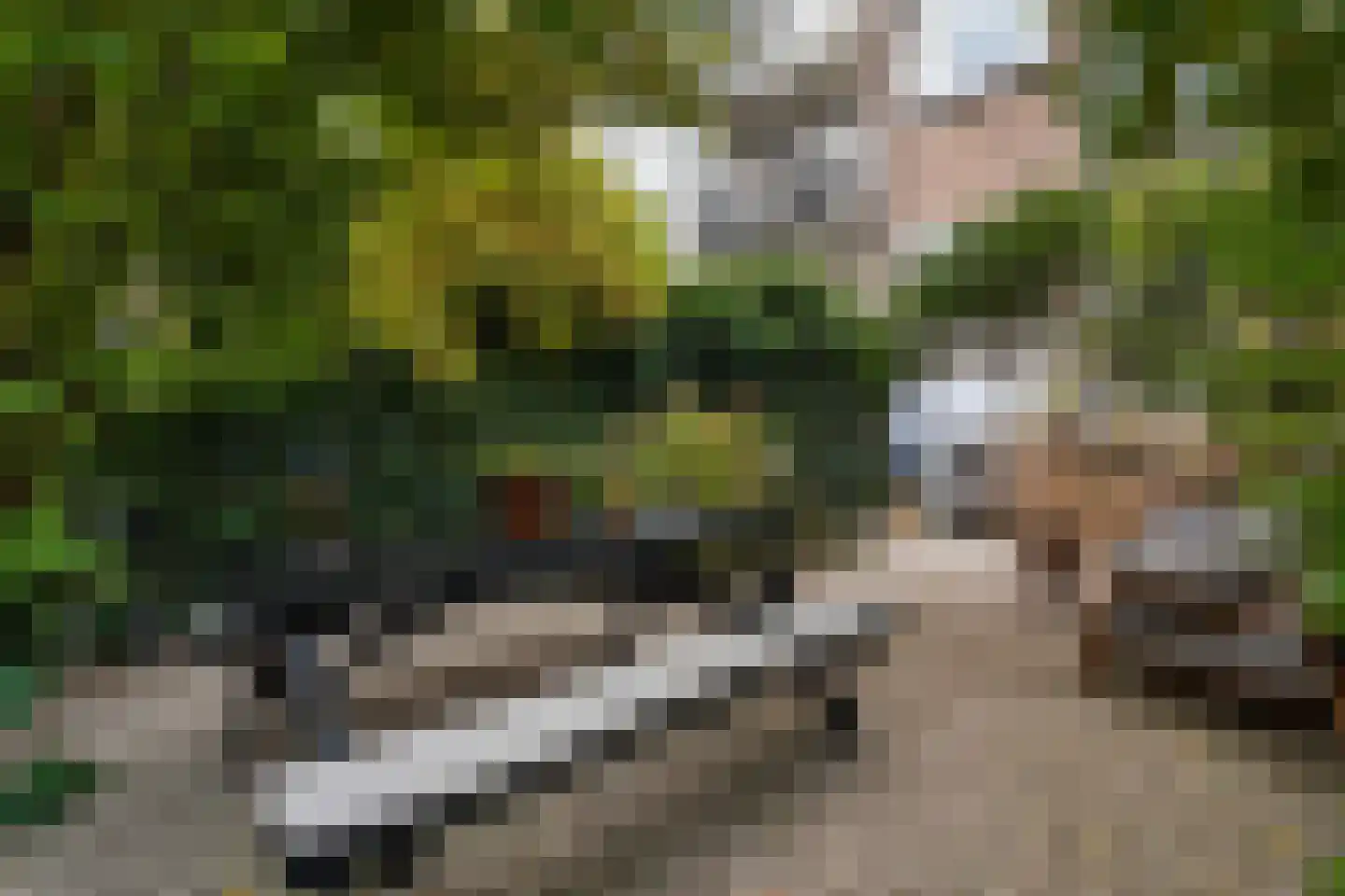 Rozenlaan 129 A Rotterdam thumbnail 4