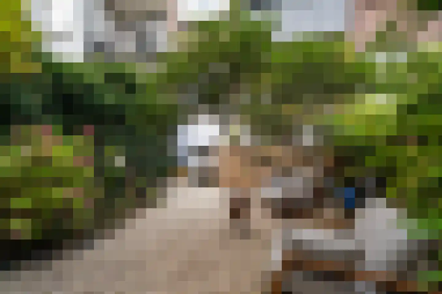 Rozenlaan 129 A Rotterdam thumbnail 40
