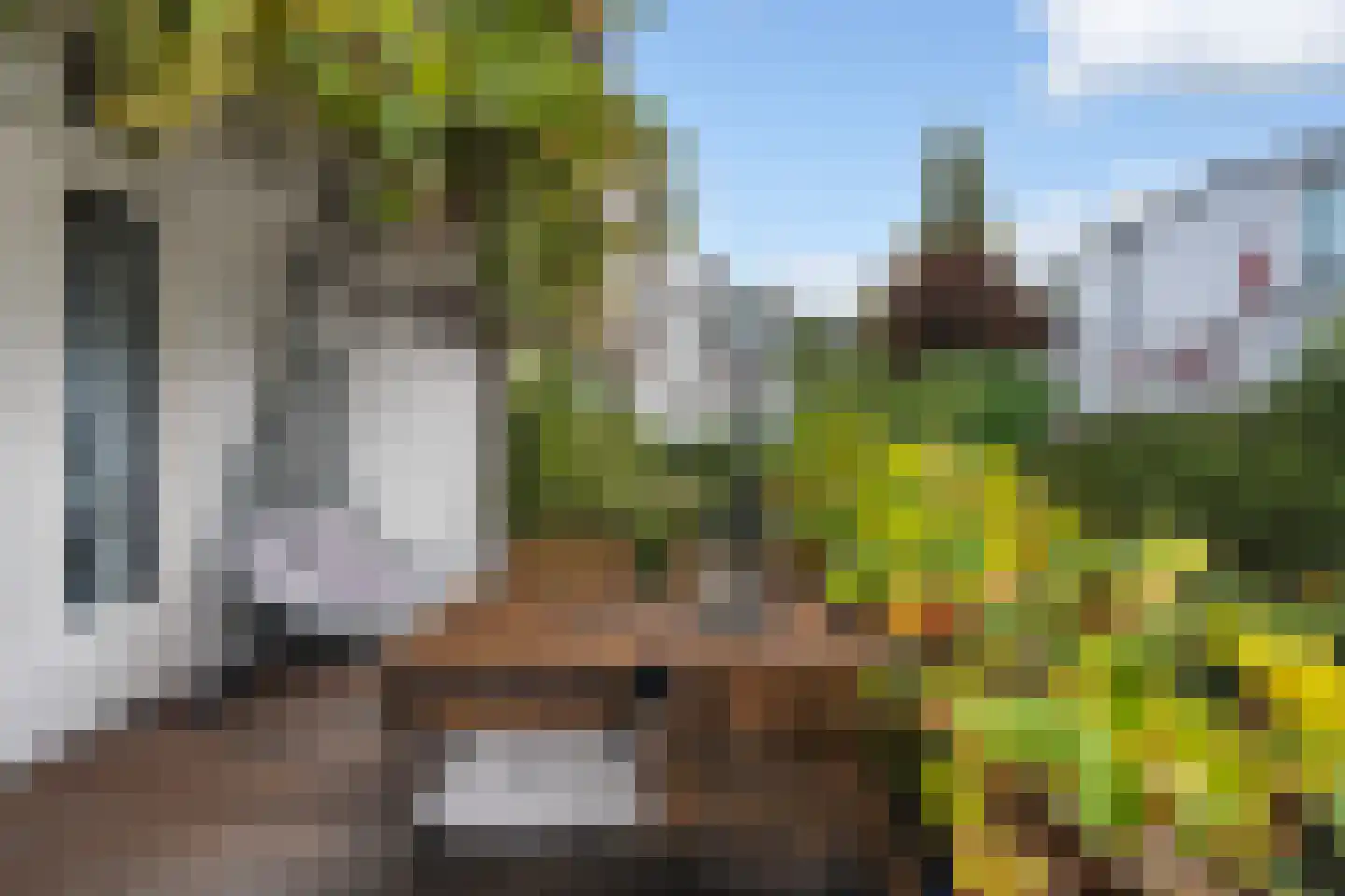 Rozenlaan 129 A Rotterdam thumbnail 44