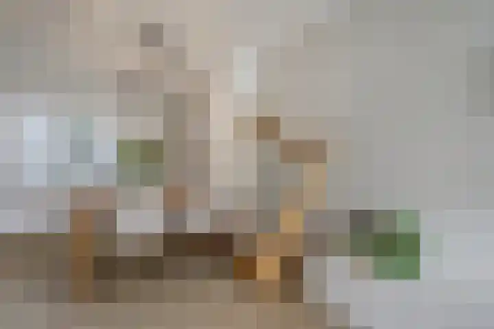 Rozenlaan 13 B Rotterdam thumbnail 10