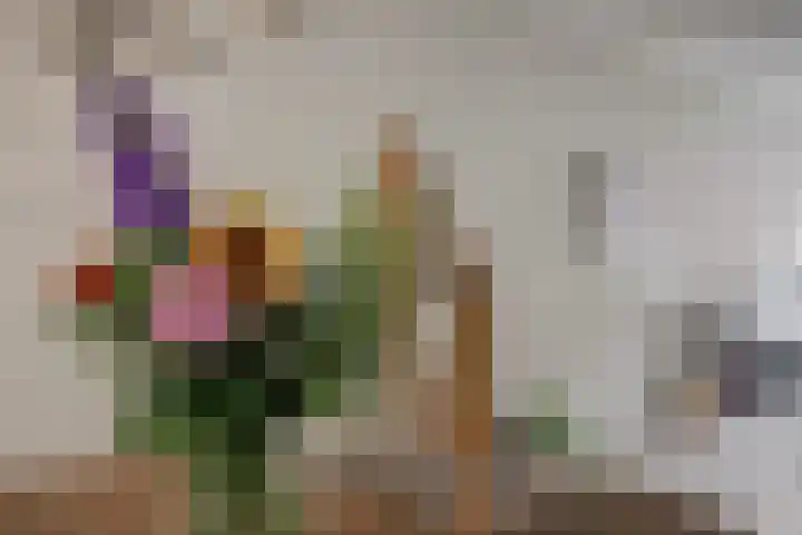 Rozenlaan 13 B Rotterdam thumbnail 13