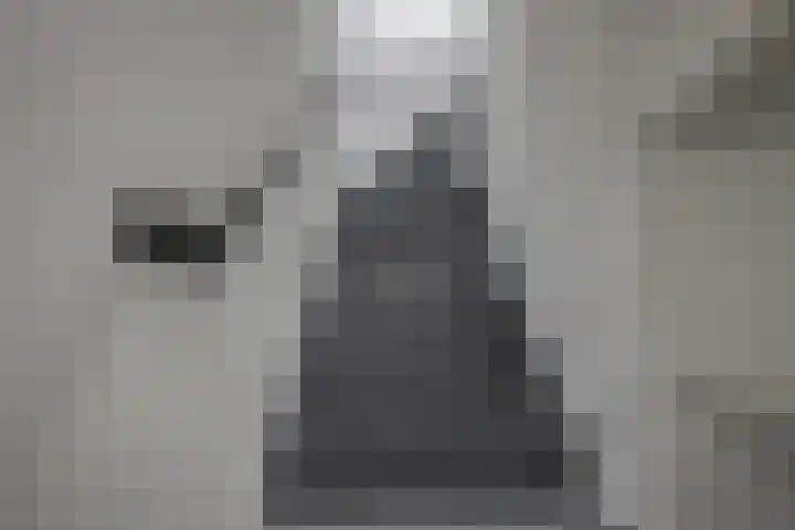 Rozenlaan 13 B Rotterdam thumbnail 18