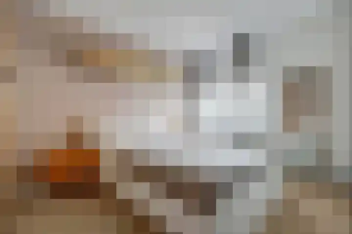Rozenlaan 13 B Rotterdam thumbnail 20
