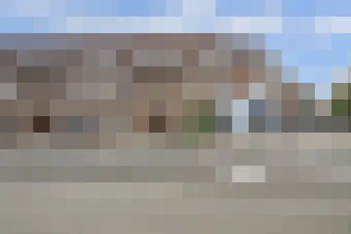 Rozenlaan 13 B Rotterdam thumbnail 32