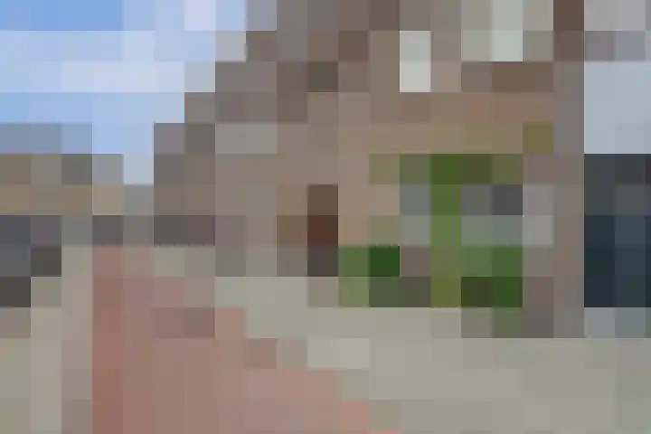 Rozenlaan 13 B Rotterdam thumbnail 33