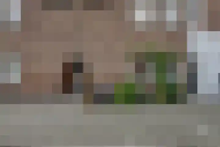 Rozenlaan 13 B Rotterdam thumbnail 35