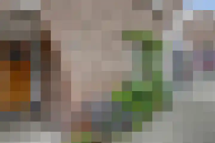 Rozenlaan 13 B Rotterdam thumbnail 36