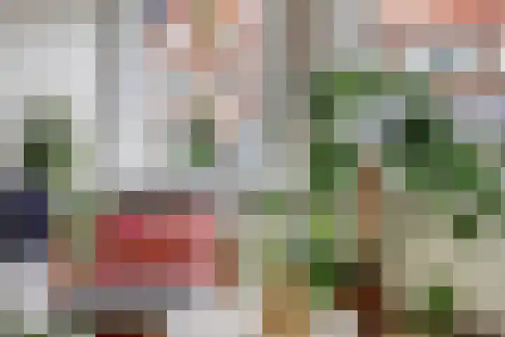 Rozenlaan 13 B Rotterdam thumbnail 8