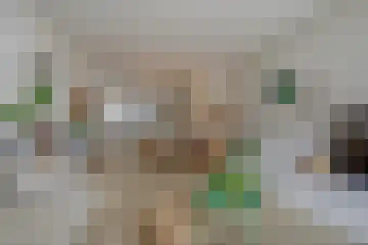 Rozenlaan 13 B Rotterdam thumbnail 9