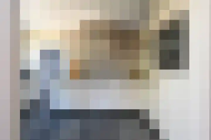 Rozenlaan 13 Vlaardingen thumbnail 11