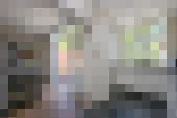 Rozenlaan 13 Vlaardingen thumbnail 14