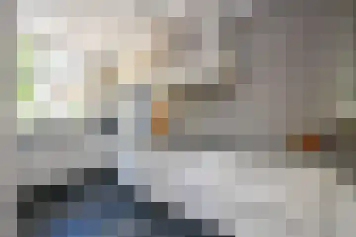 Rozenlaan 13 Vlaardingen thumbnail 15