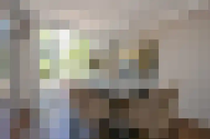 Rozenlaan 13 Vlaardingen thumbnail 17