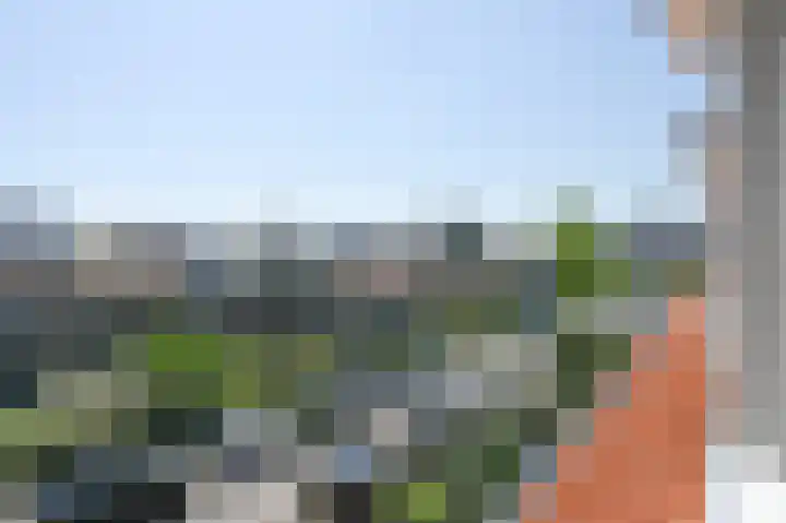 Rozenlaan 13 Vlaardingen thumbnail 37
