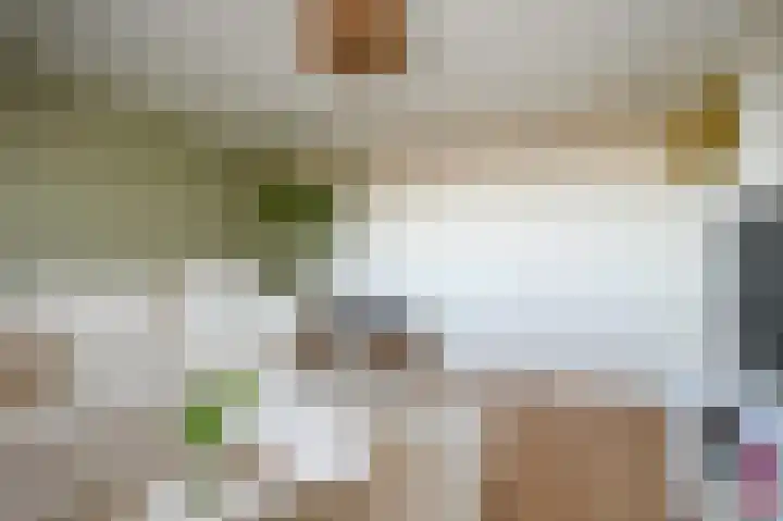 Rozenlaan 13 Vlaardingen thumbnail 38