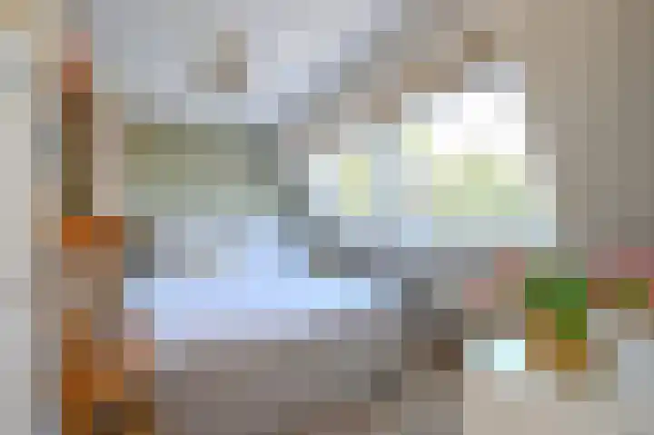 Rozenlaan 13 Vlaardingen thumbnail 42
