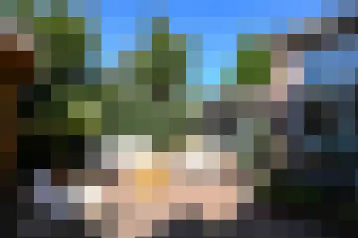 Rozenlaan 13 Vlaardingen thumbnail 59