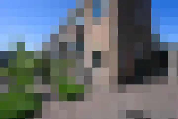 Rozenlaan 13 Vlaardingen thumbnail 69