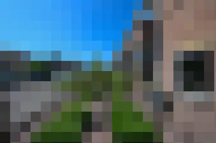 Rozenlaan 13 Vlaardingen thumbnail 70
