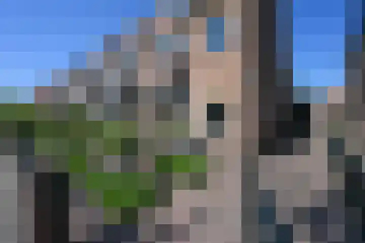Rozenlaan 13 Vlaardingen thumbnail 71