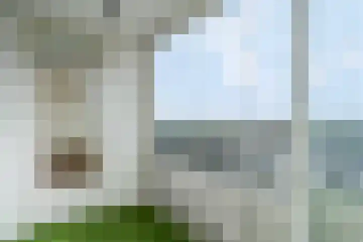 Rozenlaan 139 Rhenen thumbnail 15