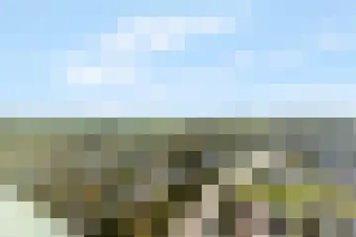 Rozenlaan 139 Rhenen thumbnail 17