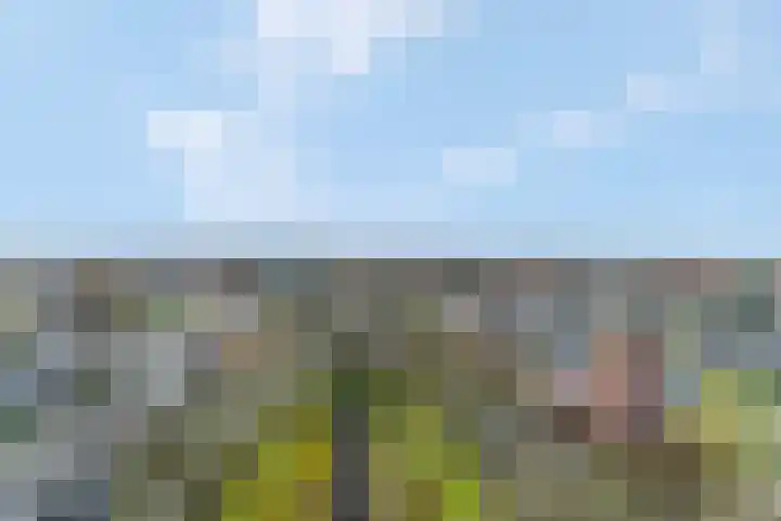 Rozenlaan 139 Rhenen thumbnail 18