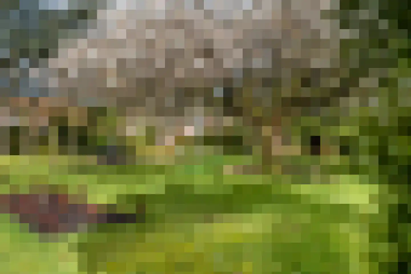 Rozenlaan 139 Rhenen thumbnail 31