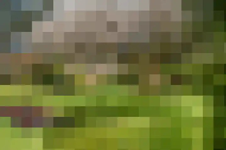 Rozenlaan 139 Rhenen thumbnail 31