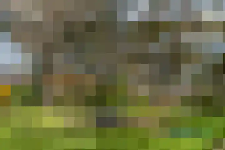 Rozenlaan 139 Rhenen thumbnail 32