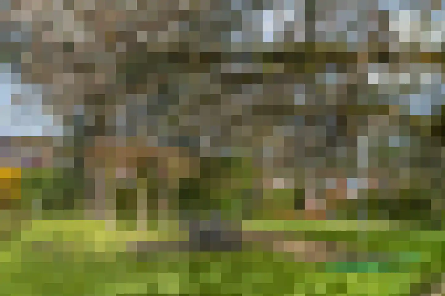 Rozenlaan 139 Rhenen thumbnail 32
