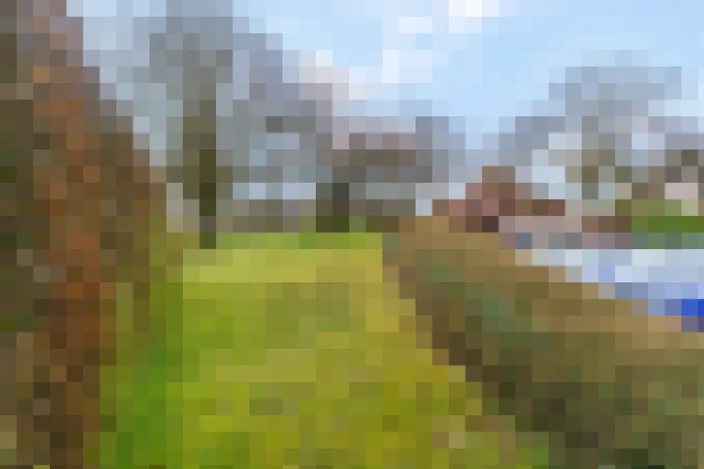Rozenlaan 139 Rhenen thumbnail 33